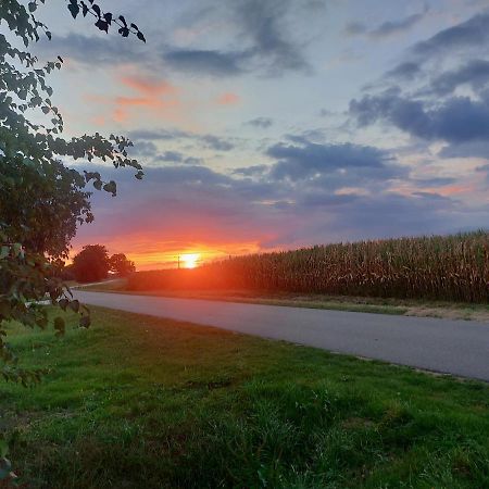 De Berenshoeve Emmen Bagian luar foto